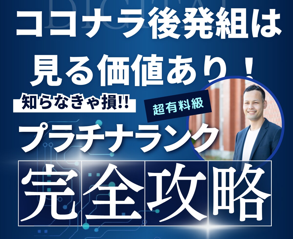 6ヶ月でプラチナランクを目指すノウハウ伝授します スキルがなくても稼げる方法を紹介（コンサル付き） イメージ4
