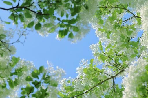 ５分でも⭐更年期のあれこれに寄り添います 更年期かな？更年期真っ只中！いろいろな不調お聞きします！ イメージ9