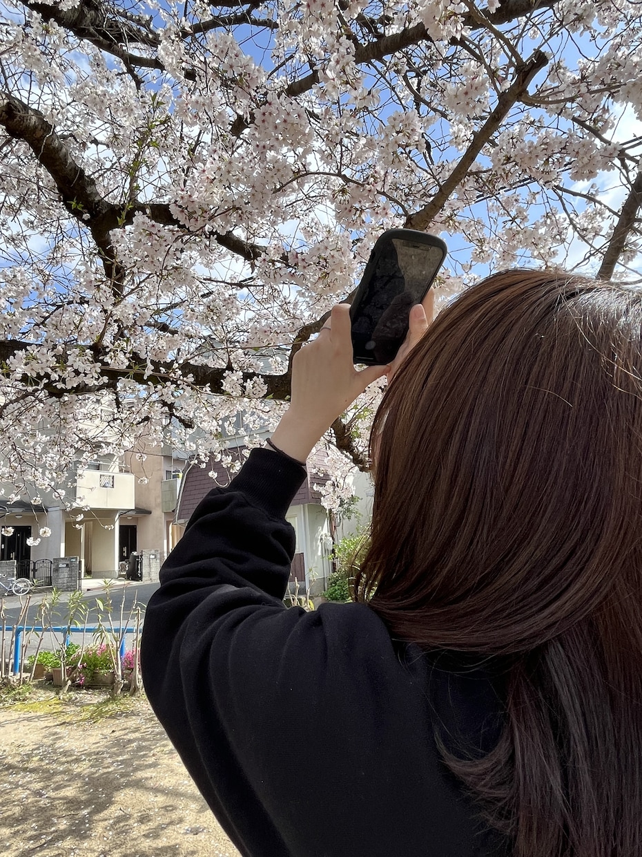 精神疾患について看護師が相談にのります あなたが抱える生きずらさ、話してみて下さい イメージ1