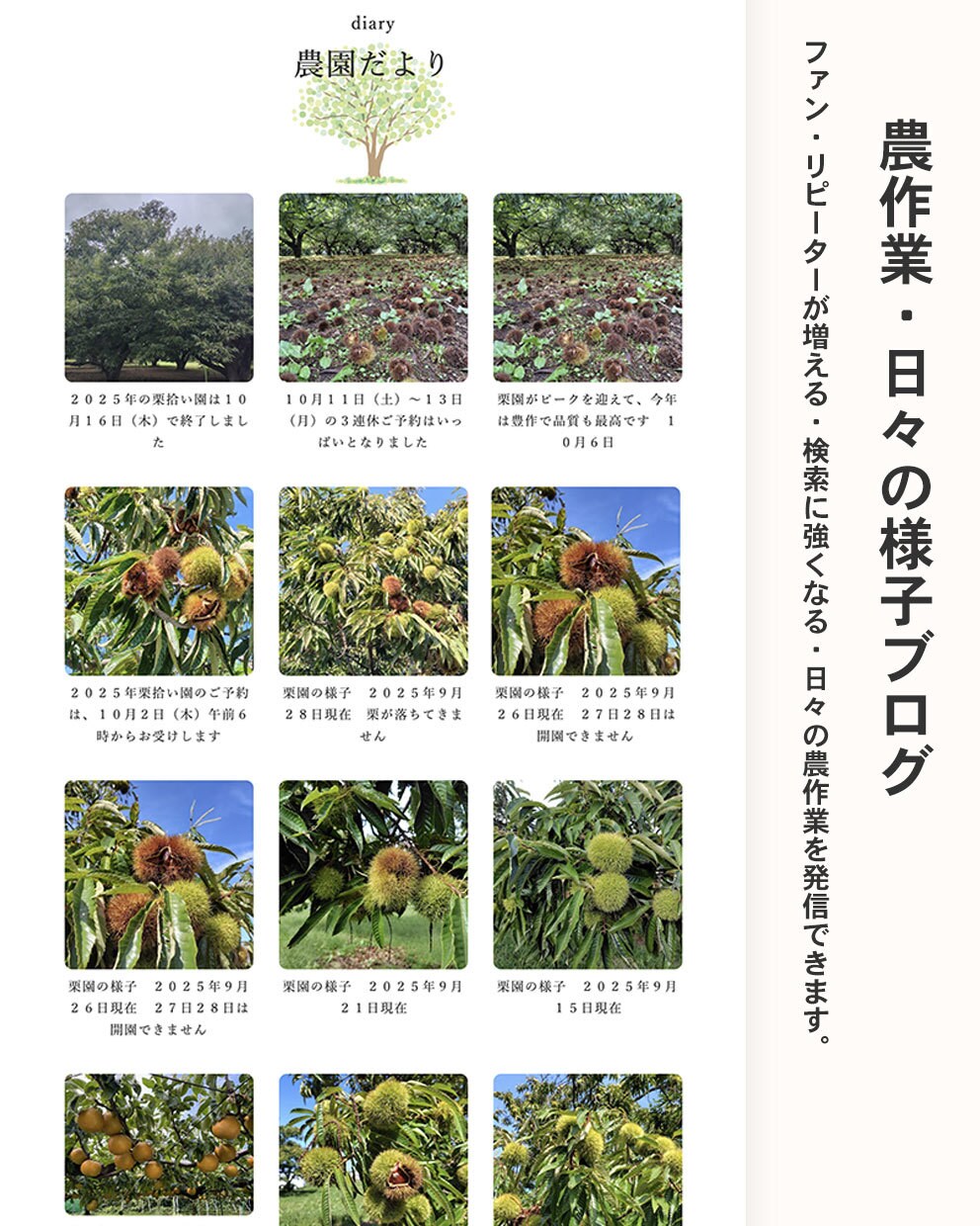 農園・農家のWebサイト制作します 現場理解で集客と魅力が伝わるサイトを制作 イメージ4