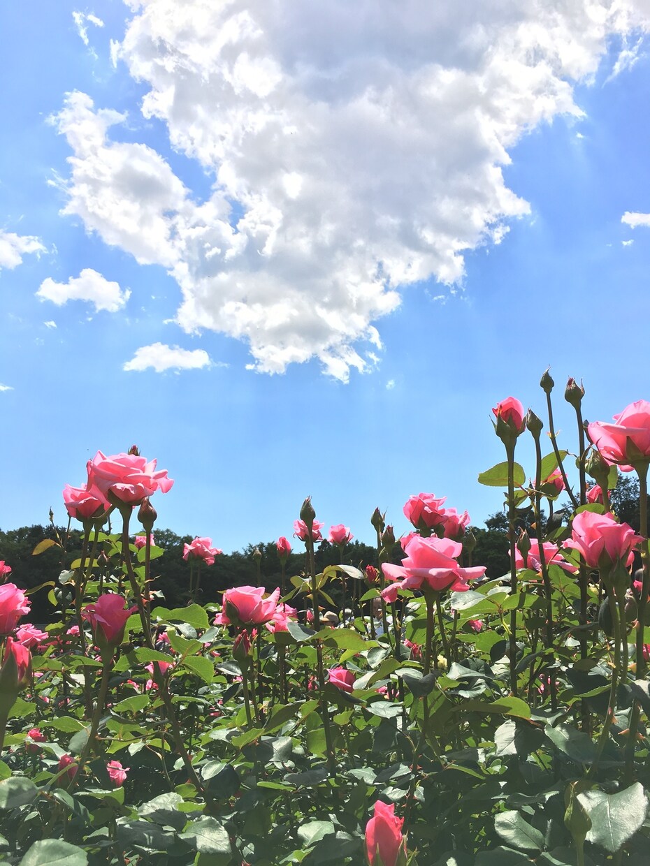 自信持つ為に今向き合うといいところをお伝えします 自分にもっと自信を持ちたい方へ イメージ2