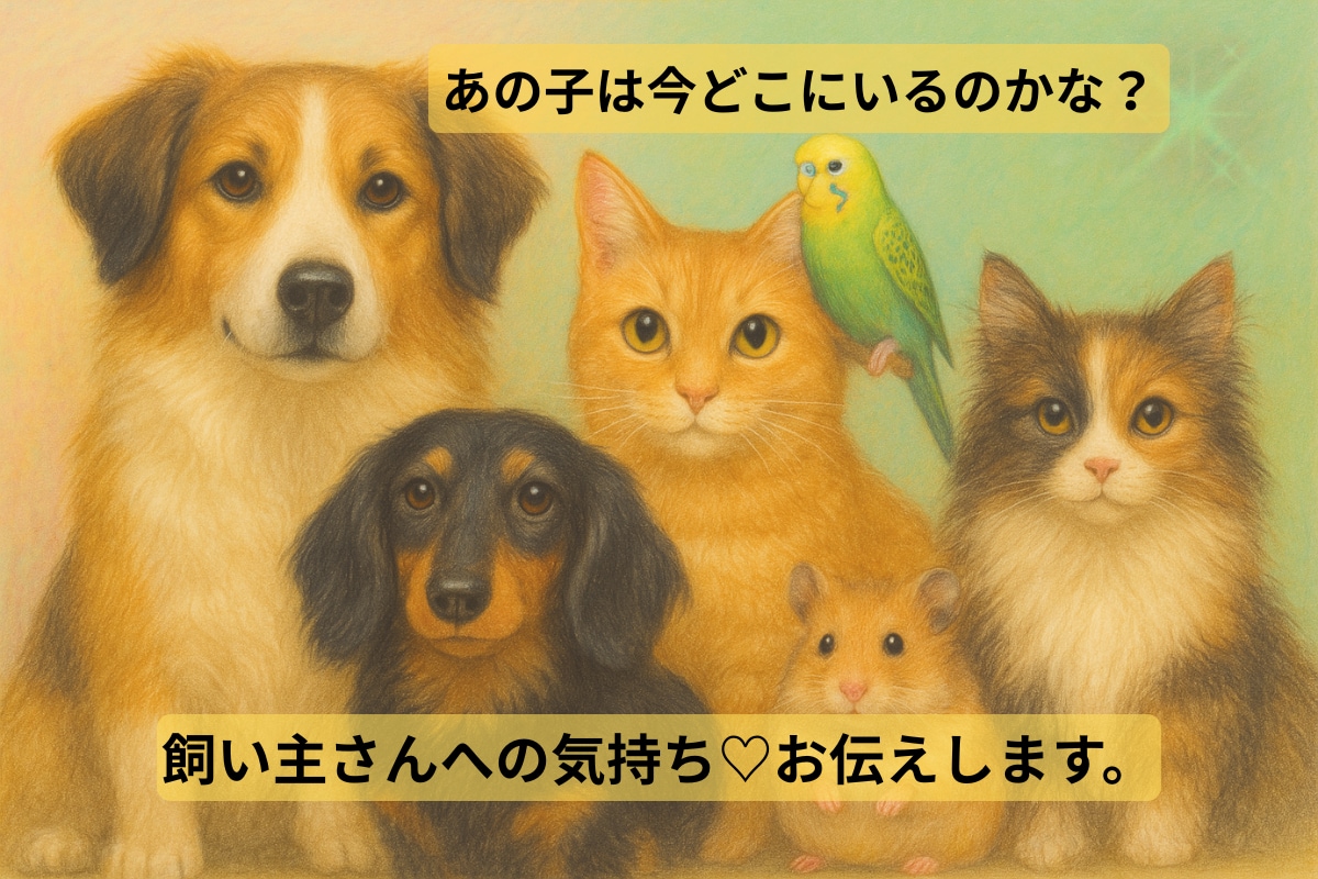即日対応｜ペットの気持ち・伝えたい想いを霊視します 約2,000～3,000文字｜あの子の声をお届けします イメージ6