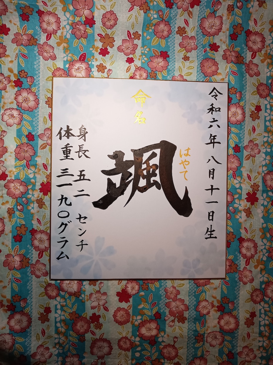 命名書を作成します 心を込めて筆文字で作成いたします。 イメージ1