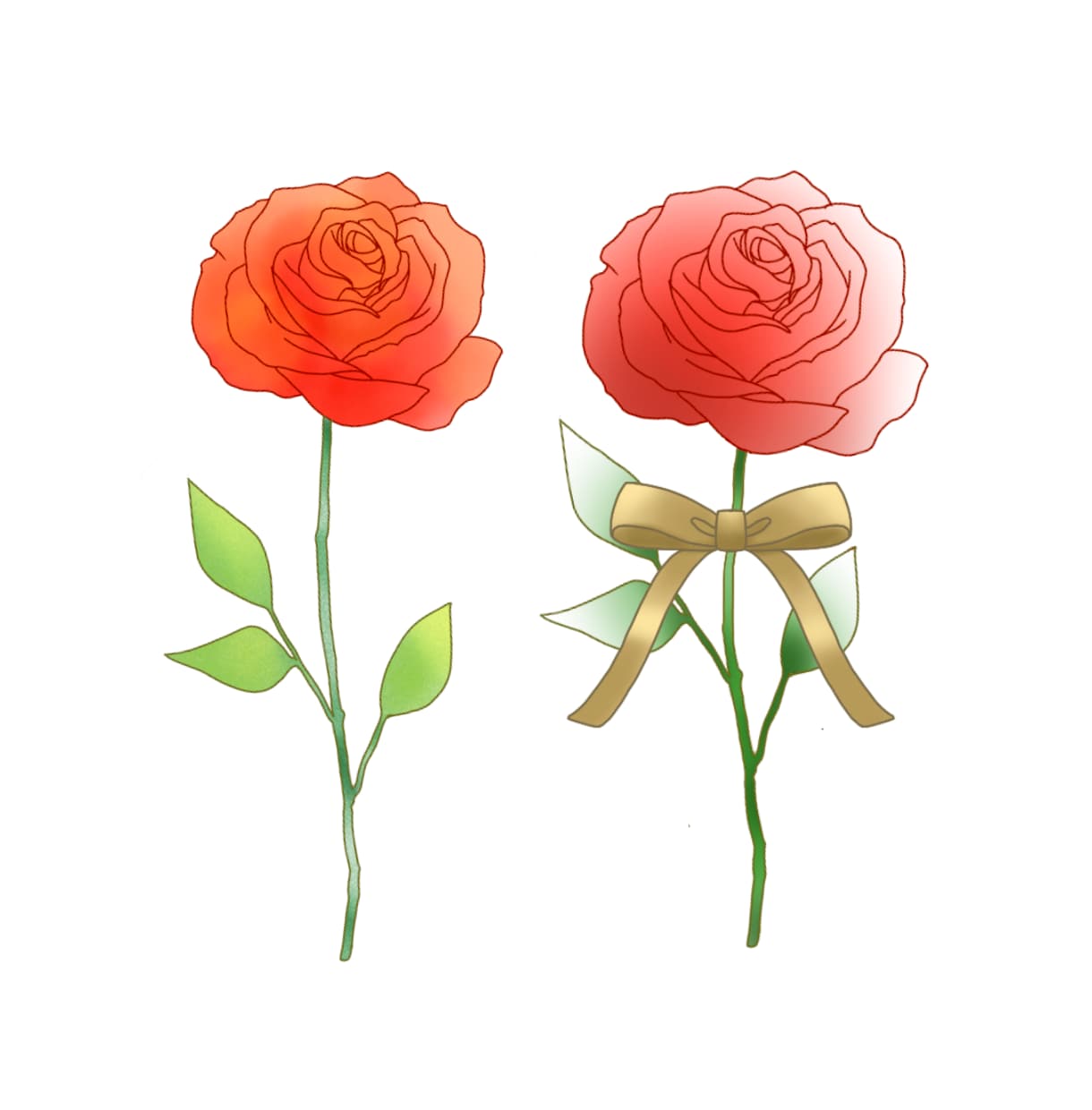 お花や葉っぱ、植物のイラスト優しいタッチで描きます ナチュラル〜リアルタッチのテイストでお花や植物をお描きします イメージ10
