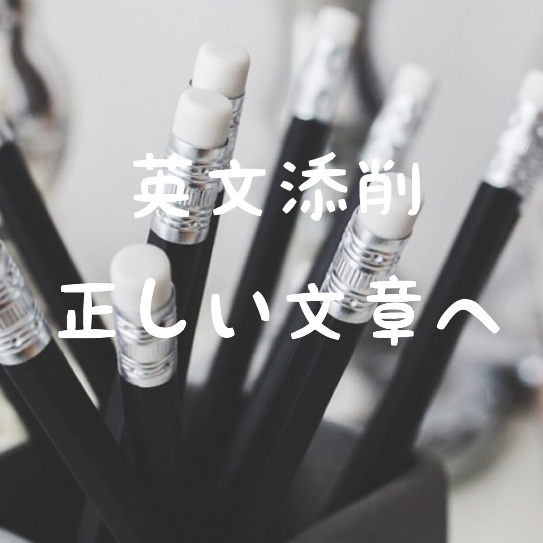 あなたの英語を正しく修正します 正確すぎる英語をお届けします！ イメージ1