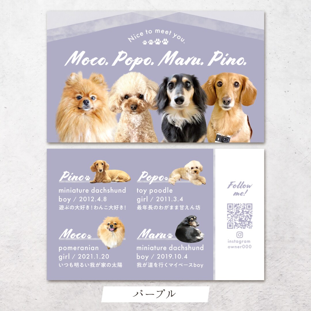 4頭限定×フェミニンが可愛いペット名刺制作します ４頭限定！印刷代込み100枚！オフ会・イベントで大活躍♩ イメージ7