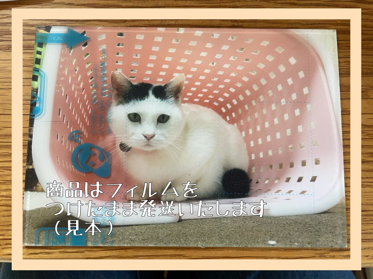 写真印刷して、アクリルパネルにします 写真をアクリルに・ペットや記念の写真をきれいに残しませんか イメージ3