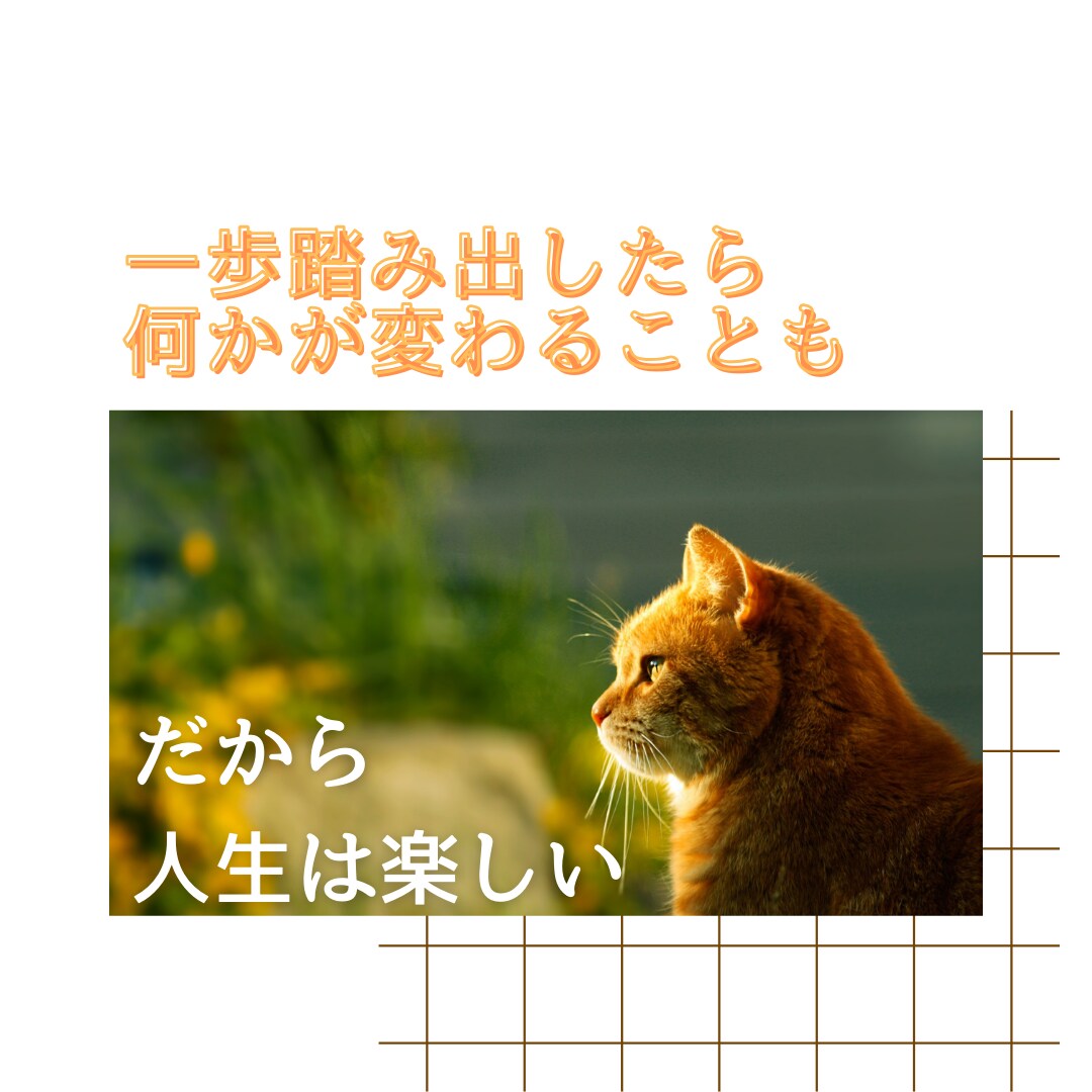 相手の気持ちを知って賢い恋愛を！恋の不安なくします 好きになっていい？騙されてる！今後について考えるきっかけに イメージ8