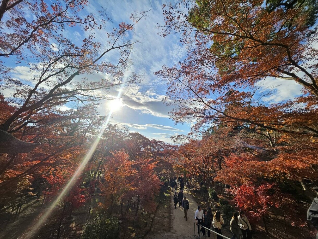 あなたの悩みに寄り添います 恋愛・人間関係なんでもご相談ください♡返信迅速♡ イメージ2