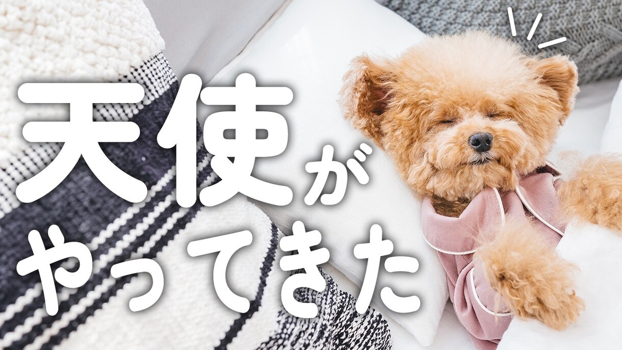 1枚1000円！YouTubeサムネイル作ります 思わずクリックしたくなるサムネ！1000円でつくります！ イメージ4