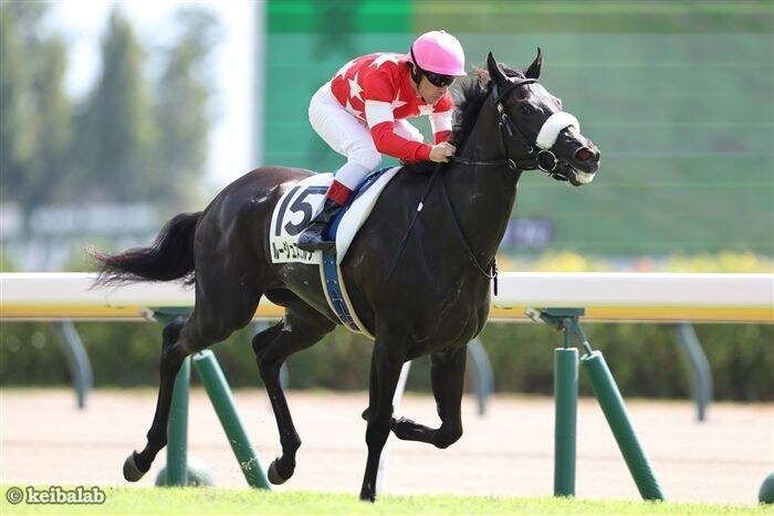 ダービー２頭出し１口馬主が推奨馬５頭を教えます 一口馬主で勝てる馬をキャロット・東サラの２クラブ限定で推奨！ イメージ2