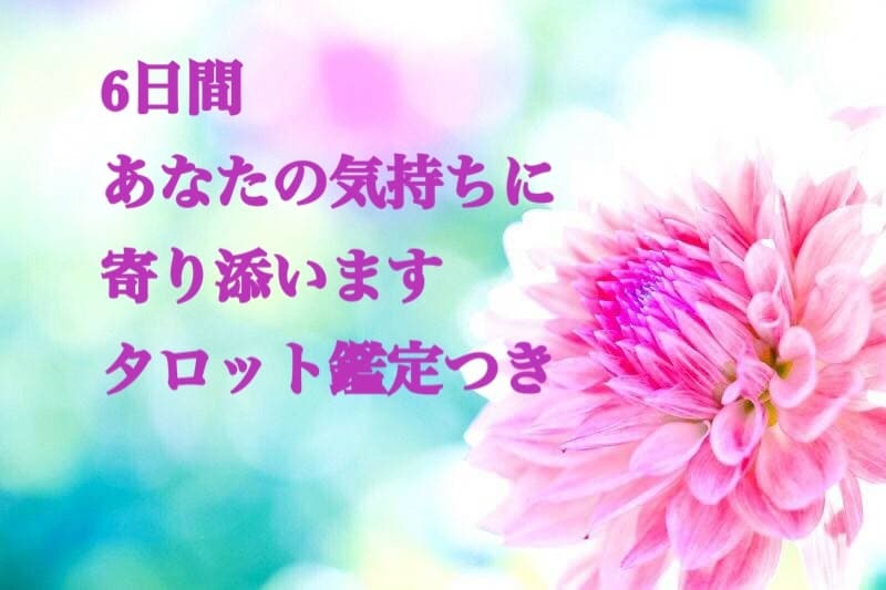 6日間、あなたの恋愛のお悩みに寄り添います メッセージであなたの恋愛のお悩みをお聞かせください。 イメージ1