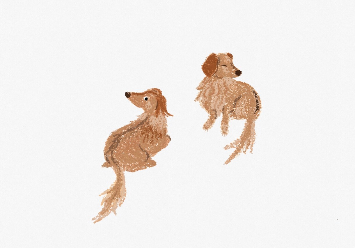 ペットのイラストを描きます あなたのお家の小さな家族（ペット）の絵を描かせてください！ イメージ4