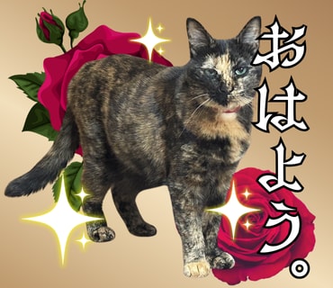 あなたのペットの写真でLINEスタンプ作ります 送っていただいた日常の写真をもとに12個制作！ イメージ2