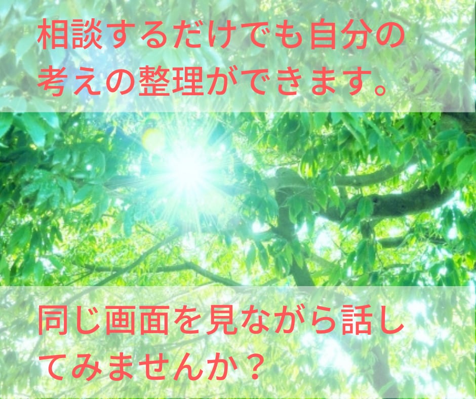 ITに関するお悩みをアドバイスします 【ビデオチャット】IT/インフラ/設定/トラブルなどに対応 イメージ5
