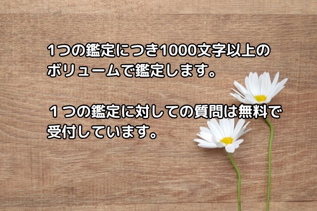 霊感タロット。秘密の恋の未来、彼の気持ちを視ます １日以内に送信！相手の気持ち・未来を具体的に大ボリュームで イメージ5