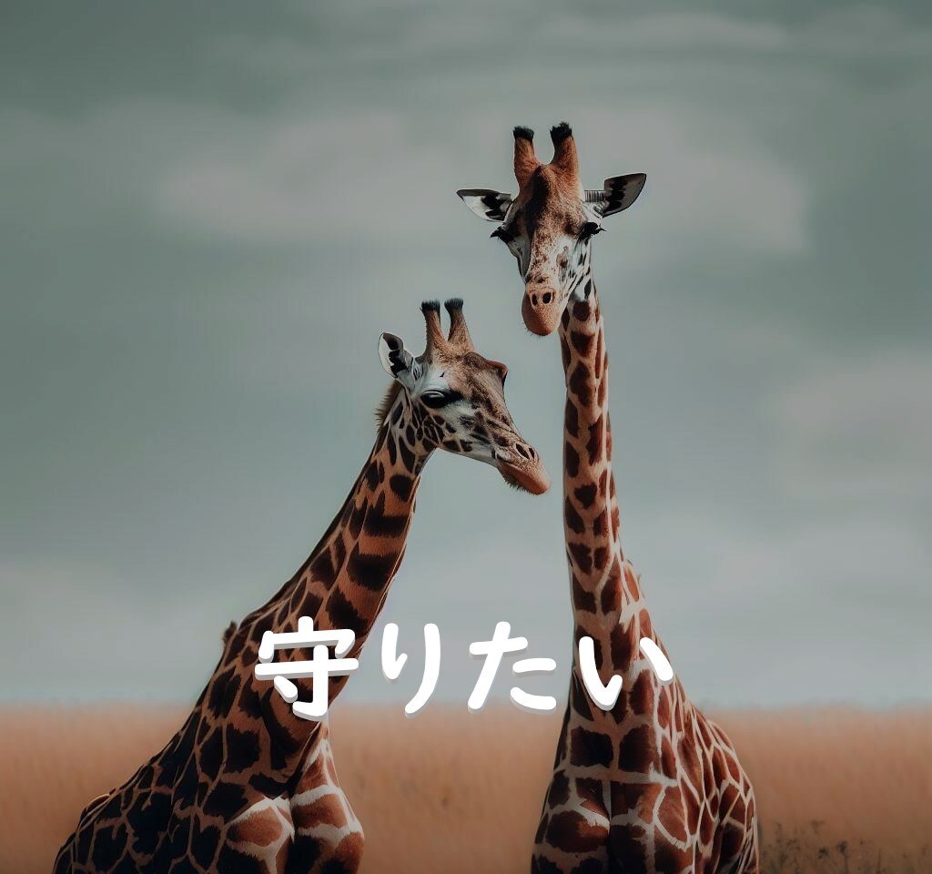 数字の持つ意味であなたの人生の悩みを解決いたします 【数秘術】生年月日が紡ぐ本当のストーリーをあなたに イメージ5