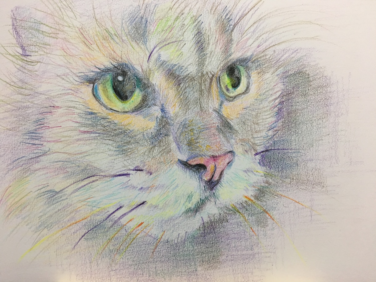 あなたの大切な人、ペットを絵画にします 色鉛筆画　B5サイズです。心を込めて制作致します。 イメージ1