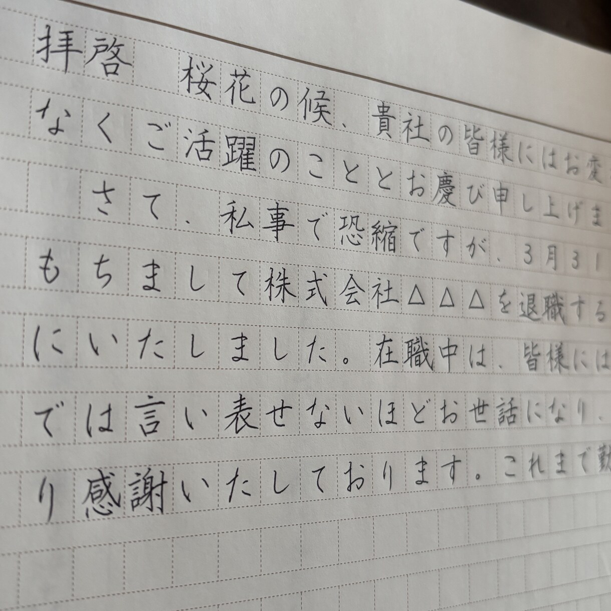 お手紙・履歴書などの代筆承ります ／丁寧に代筆させていただきます‪(˶◜ᵕ◝˶) イメージ2