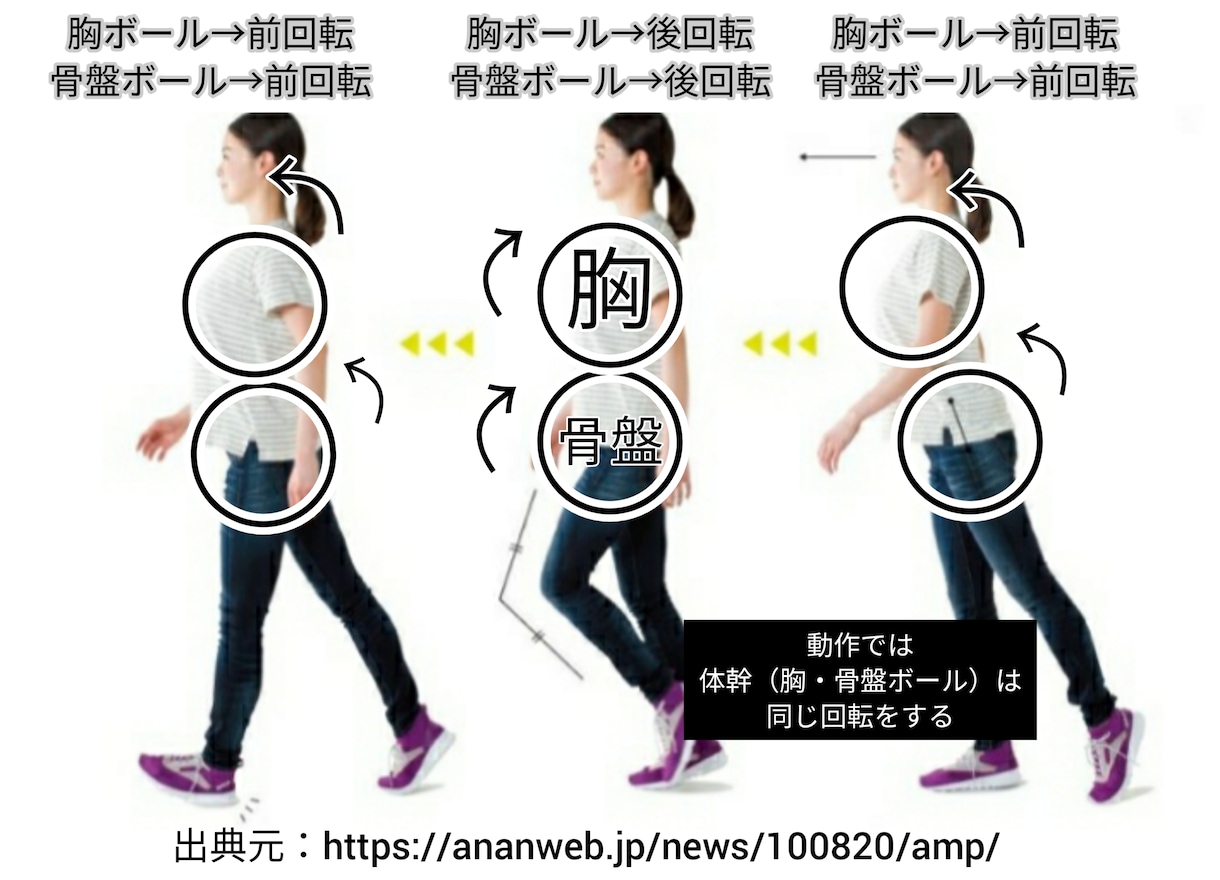 痩せさせ、肩・腰・膝の不調改善をさせ強くさせます 『痩せる方法』と『痛みをとる方法』と『強くなる方法』 イメージ5