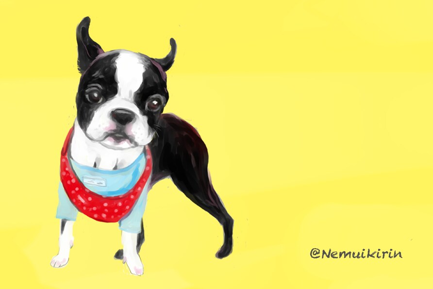 愛犬のイラスト描きます ＜個人・商用可＞リアル可愛い、グッズにしやすいイラストです イメージ3