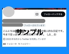 お買い得!Twitter日本人フォロワー増やします ツイッター＋310人〜増加可能☆それ以上はOP参照下さい イメージ6