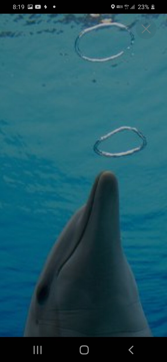魂の浄化をし、神聖と繋がります 自信がない、不安、不要な意識やカルマの浄化をしリフレッシュ イメージ1