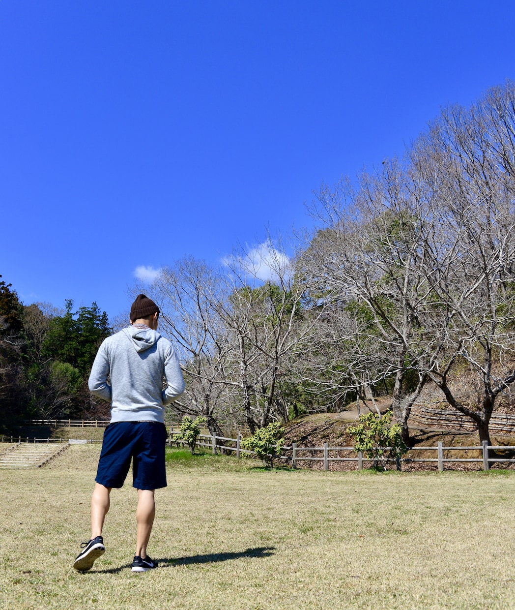 食事法とトレーニング法のアドバイスをします あなたに合ったアドバイスで、効率良く目標へと近づこう イメージ3