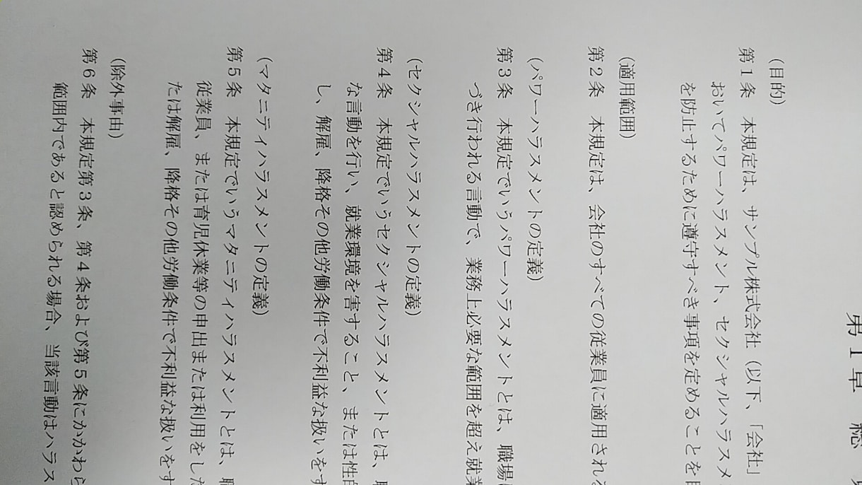 パワハラなど、ハラスメント防止規定を作成します 中小企業も令和4年４月からパワハラ防止措置が義務化されます！ イメージ2