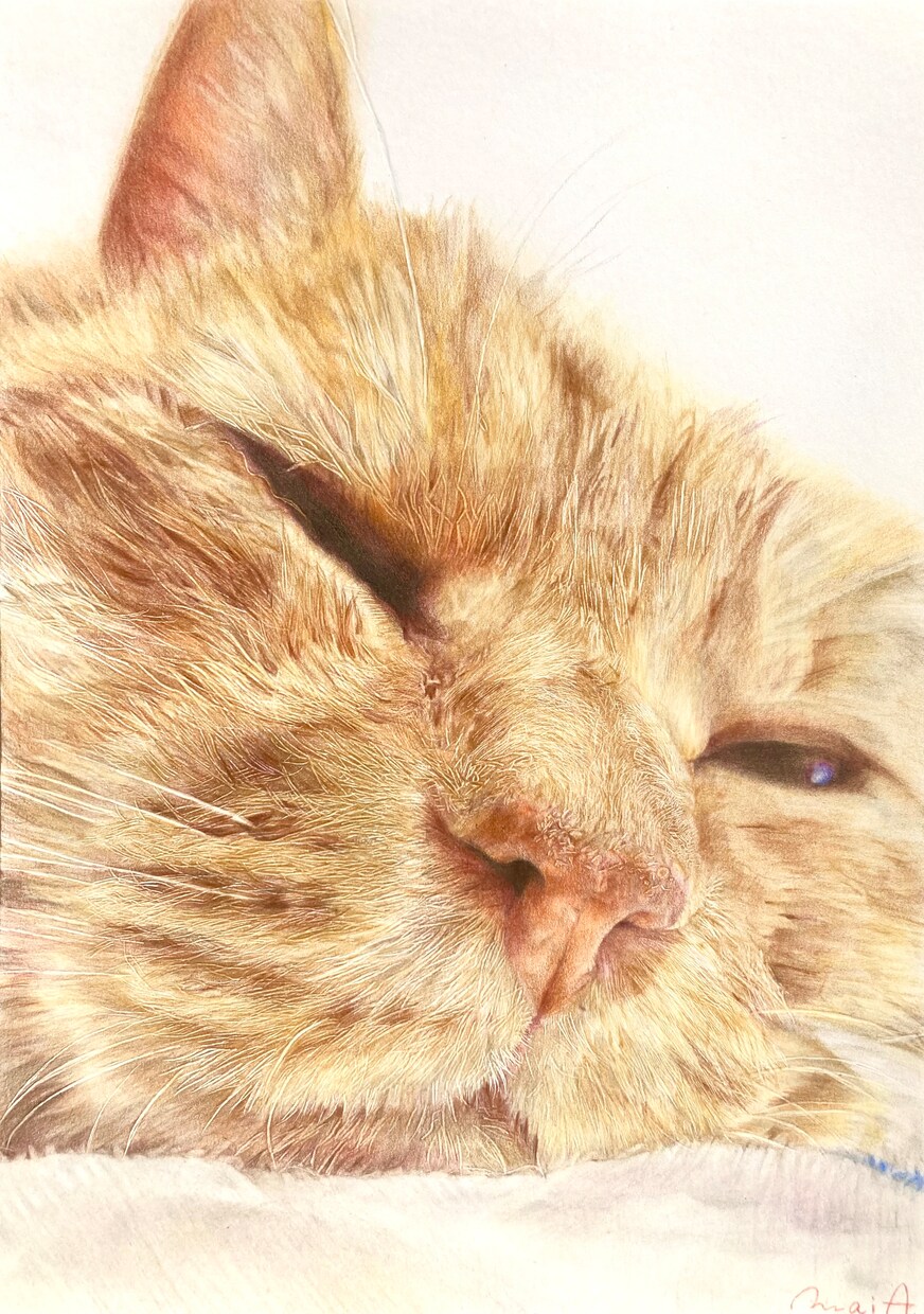 美大卒がペットちゃんの似顔絵お描きします ハイクオリティな色鉛筆画！プレゼントにおすすめ♪【額縁付き】 イメージ3