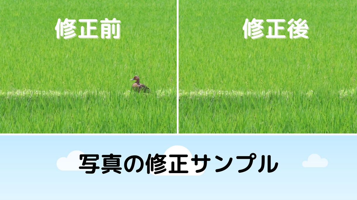 画像の中の不要なものを消します 動画、画像に写り込んだ異物を消したり、気に抜いたりします イメージ1