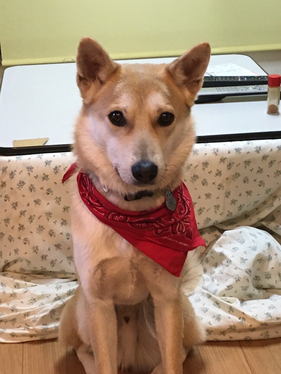 なんでもお話し聞き！ます 私に頼ってみてください！友たち感覚でなんでも聞きます！ イメージ1