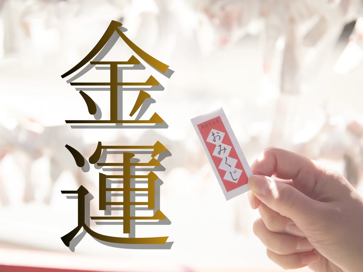 あなたの金運の未来を読み解き好転させます お金に愛される体質へと根本から改善 イメージ1
