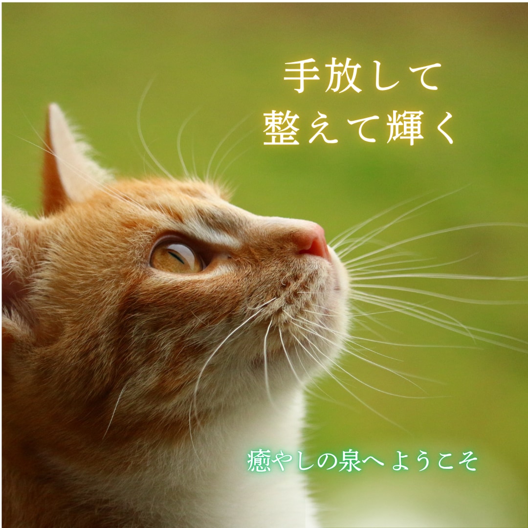 気づきを深めて前へ進む〜心と頭の整理〜はじめます メッセージを自分のものに！前向きな気持ちと安心感のお話時間 イメージ2