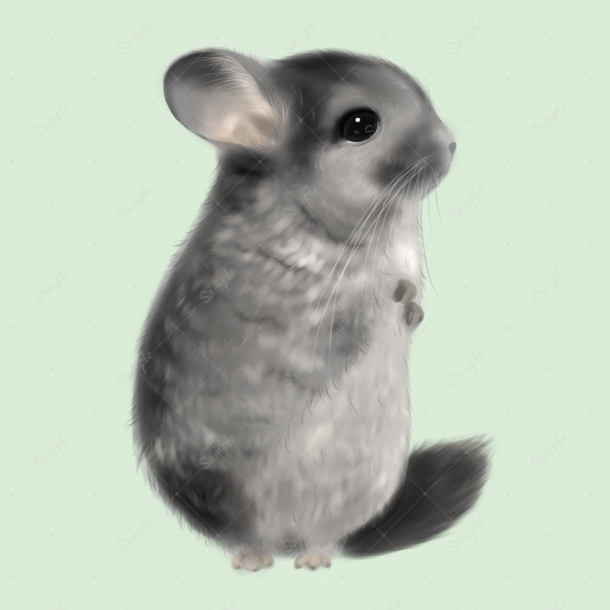 写真から可愛いリアルなペット似顔絵を描きます 可愛いペットのSNSアイコンやオリジナルグッズ制作に！ イメージ8