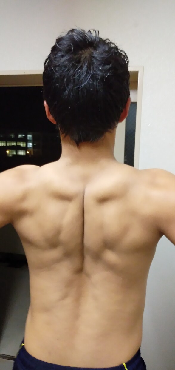 脱初心者:1か月間筋トレのサポートします もう"チキン野郎"なんて言わせない イメージ4