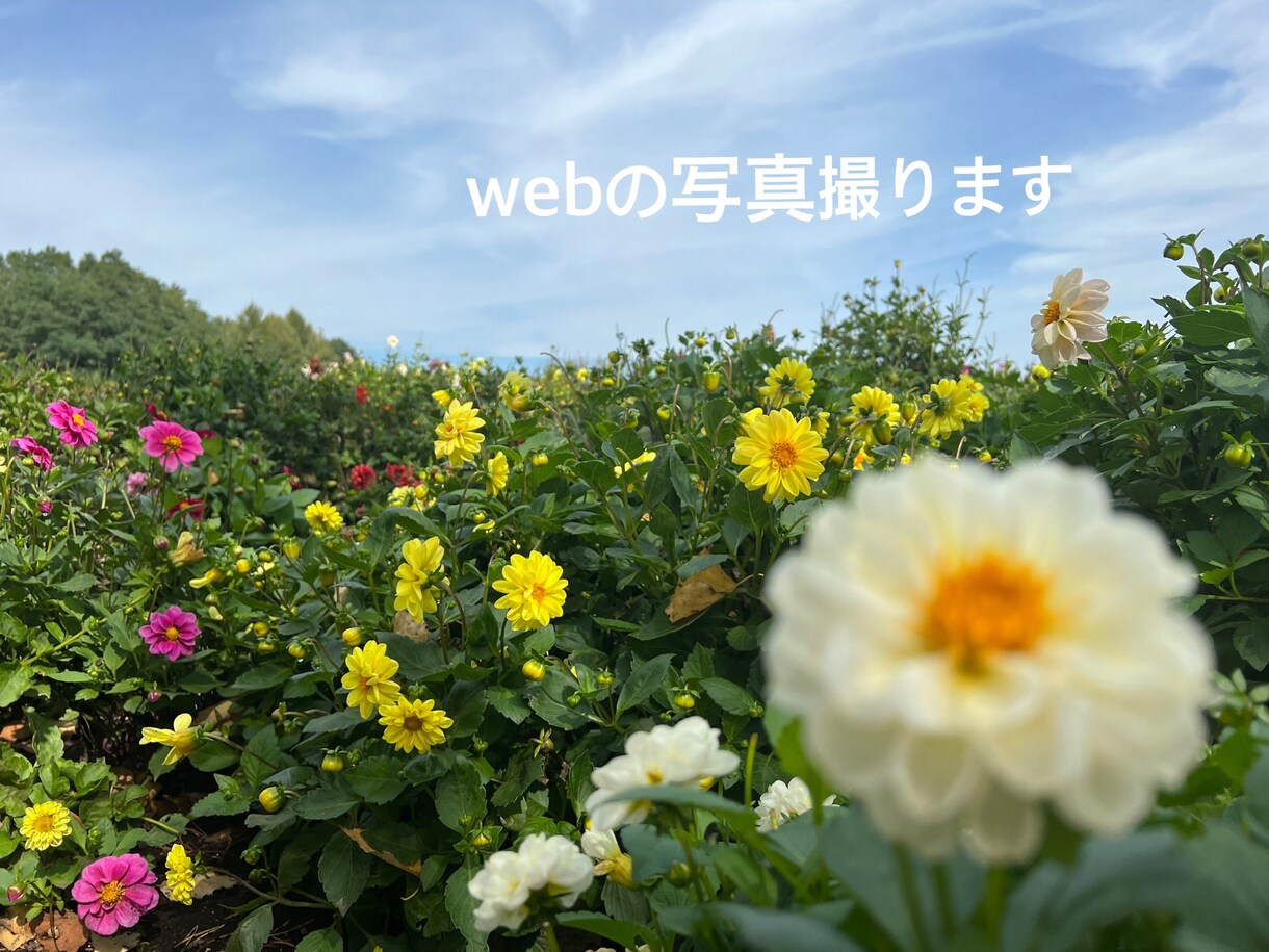 撮ります 記念やアイコンの撮影・HPなので使う写真撮ります！ イメージ1