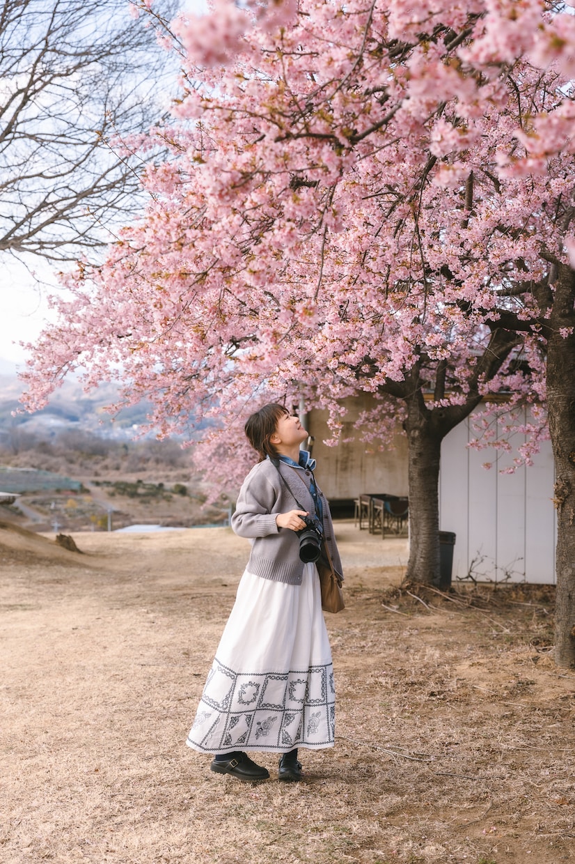 栃木▪︎家族、プロフィール写真の出張撮影をします 写真が苦手でも大丈夫。任せてください！ イメージ3