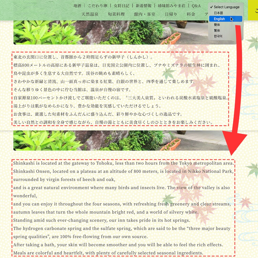 WEBサイトの多言語対応を格安で対応します テキスト翻訳、置換ツールの導入でサイト丸ごと多言語化！ イメージ2