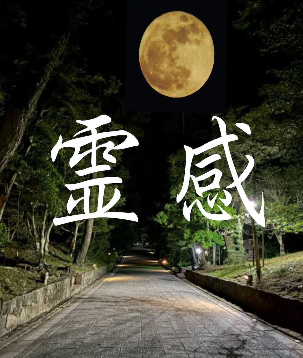 人生の生きる意味を探すお手伝いを致します 貴女・貴方らしく、人生という迷路から一歩踏み出しましょう。 イメージ2