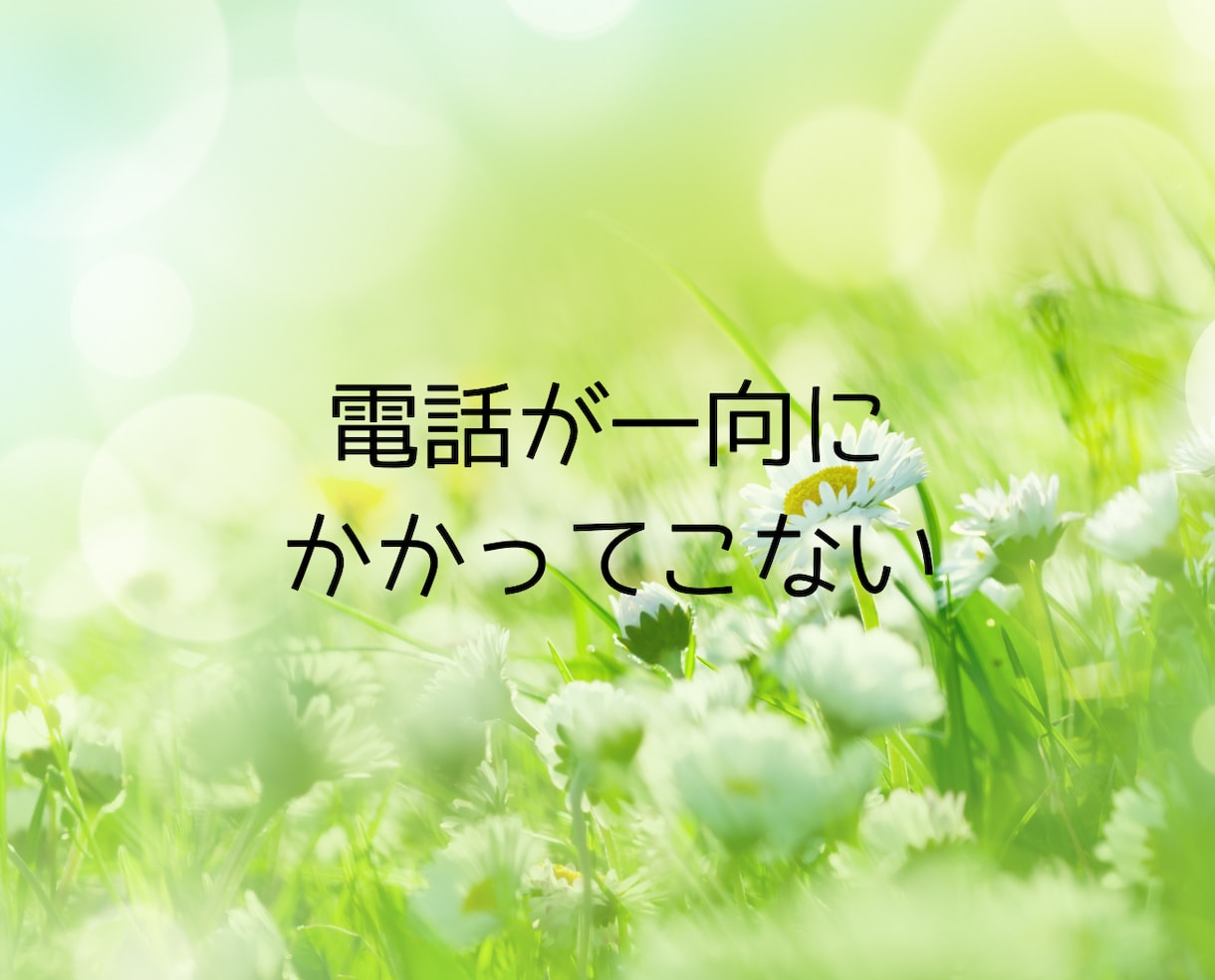 ココナラ出品の不安や悩みを優しく解決します 電話相談で丁寧にサポート！売れるコツや不安を解消するコンサル イメージ4