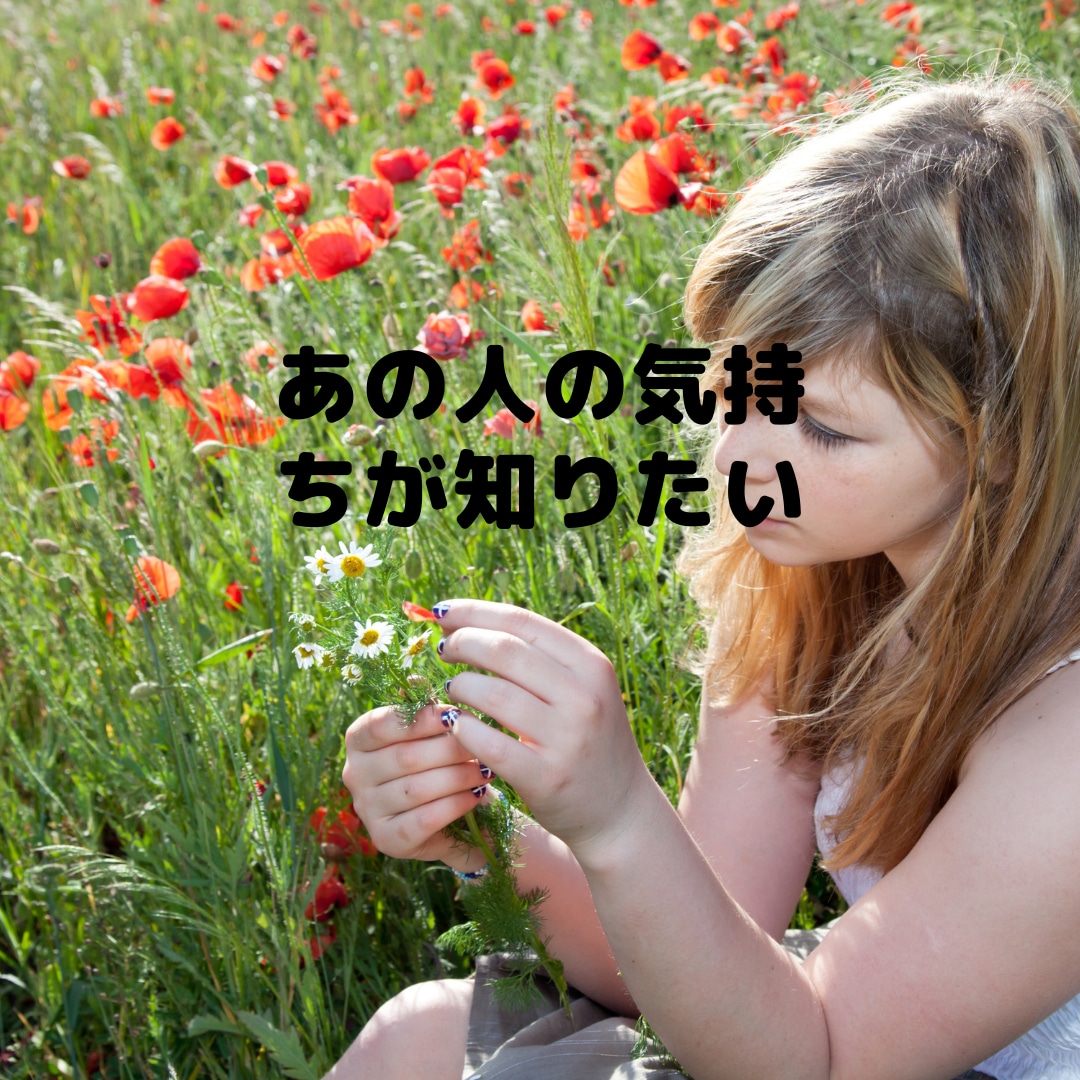 ココナラ初出品記念！10名様まで500円で占います 一人で悩まないで。あなたに寄り添ったタロット占い、写真付き イメージ2