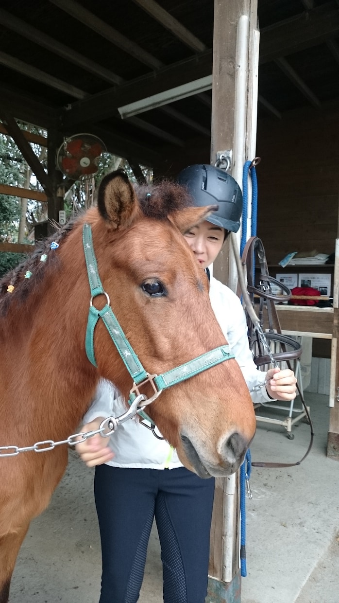 タロットでカウンセリングします 当てるではなく現在からの未来を良い方向へ導きます。 イメージ5