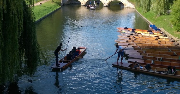 船員の就業規則に関するご相談を承ります 法令に沿った規則か、文書の整合性は取れているかチェックします イメージ1
