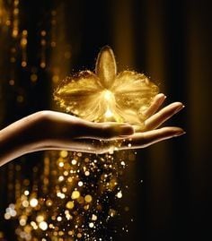 好きな人をあなたの虜に！極上の愛を引き寄せます 禁断の錬愛術であなたの理想の恋愛を成就させます イメージ2