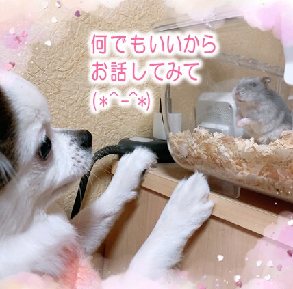 気楽にチャットで話しませんか？なんでも聞きます 悩んだり、愚痴りたくなったり…頑張ってるあなたに寄り添います イメージ3