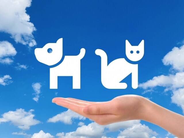 あなたの愛するペットさんの気持ちをお伝えします 最愛のペットさんの気持ちと絆を深めるアドバイスをお届けします イメージ3