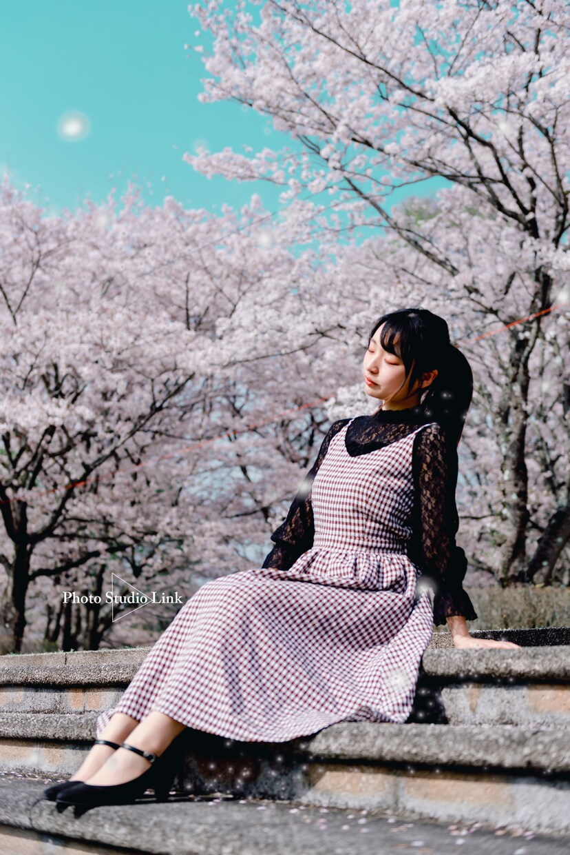 出張撮影承ります あなたの代わりに出張します必要な写真データをお送りします！ イメージ8