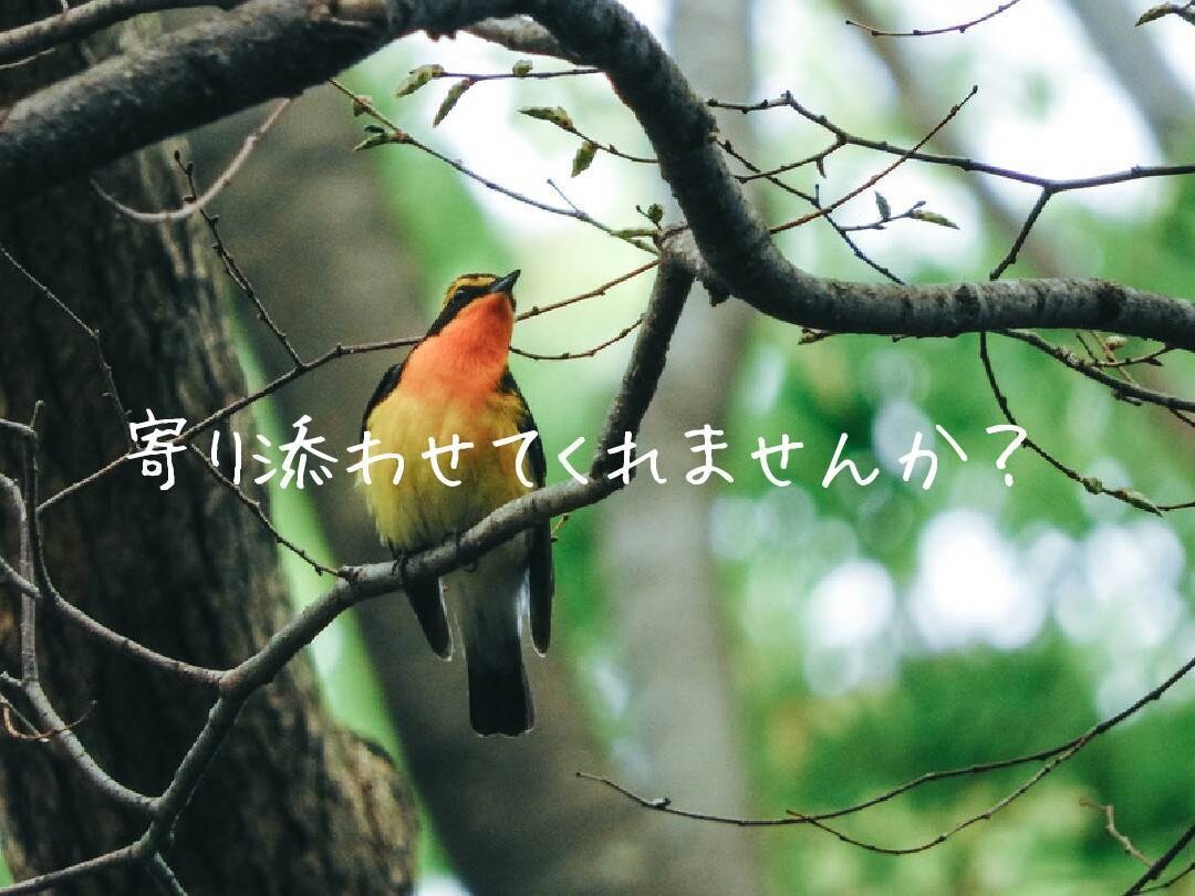 放（話）してみませんか？　不安や不満、聴きます いつも相談される側（聞く側）にまわってしまう人待ってます。 イメージ2
