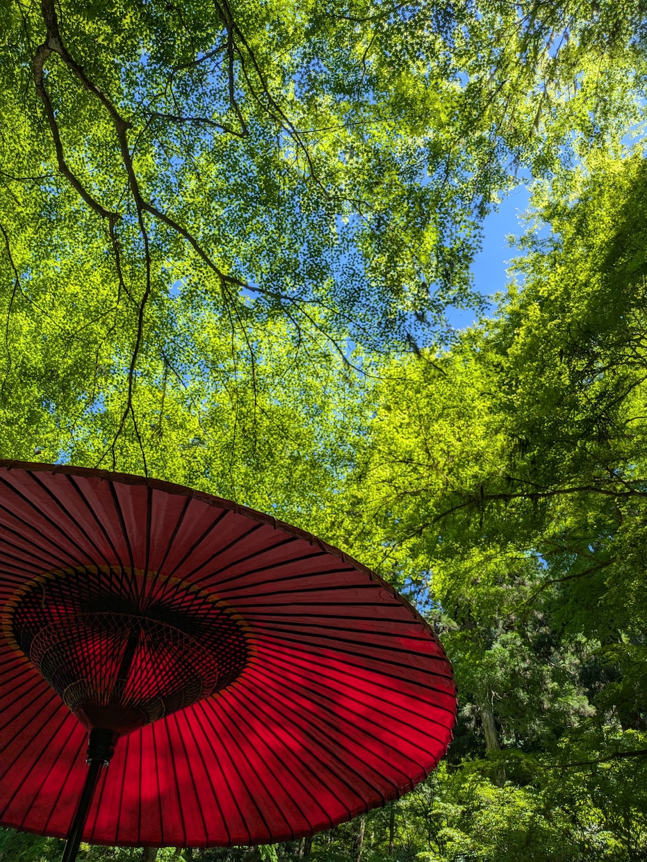個人情報不要✮30分間チャット占いします 5分間ヒーリングサポートつき✨ イメージ1